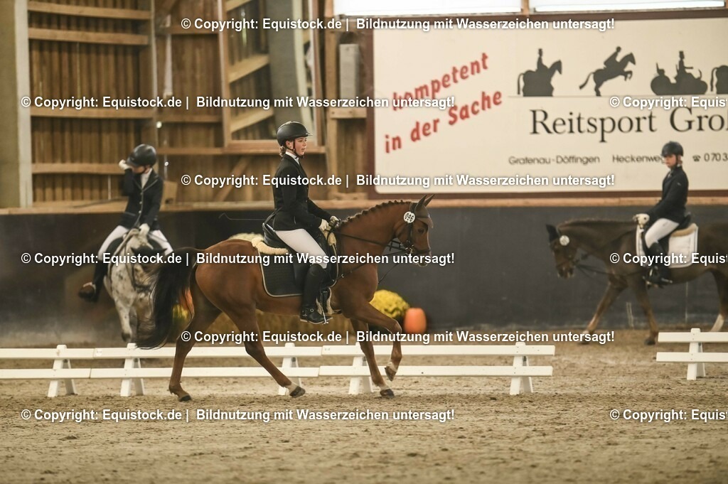 20231029_04_Dressur-WB_0323 | Foto: Thomas Hartig