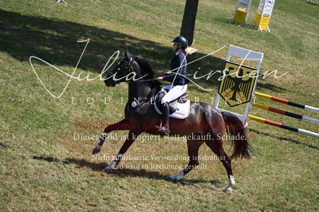 DSC_9919 | Pferde- und Turnierfotografie in Westsachsen. Pferdeportraits, Auftragszeichnungen und intuitive Kunst.