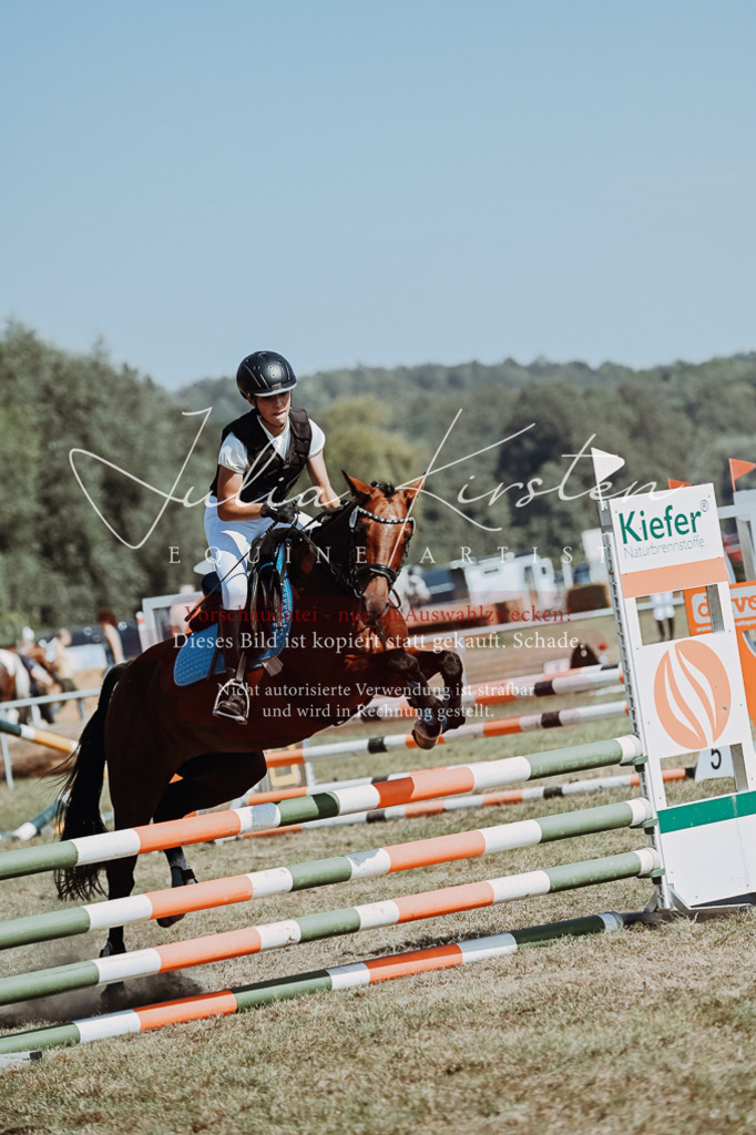DSC_9968 | Pferde- und Turnierfotografie in Westsachsen. Pferdeportraits, Auftragszeichnungen und intuitive Kunst.