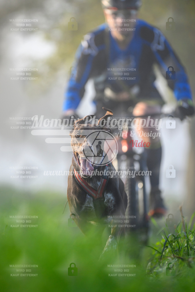 MompixPhotography_20TSB_E3_Bike-95 | PayLife