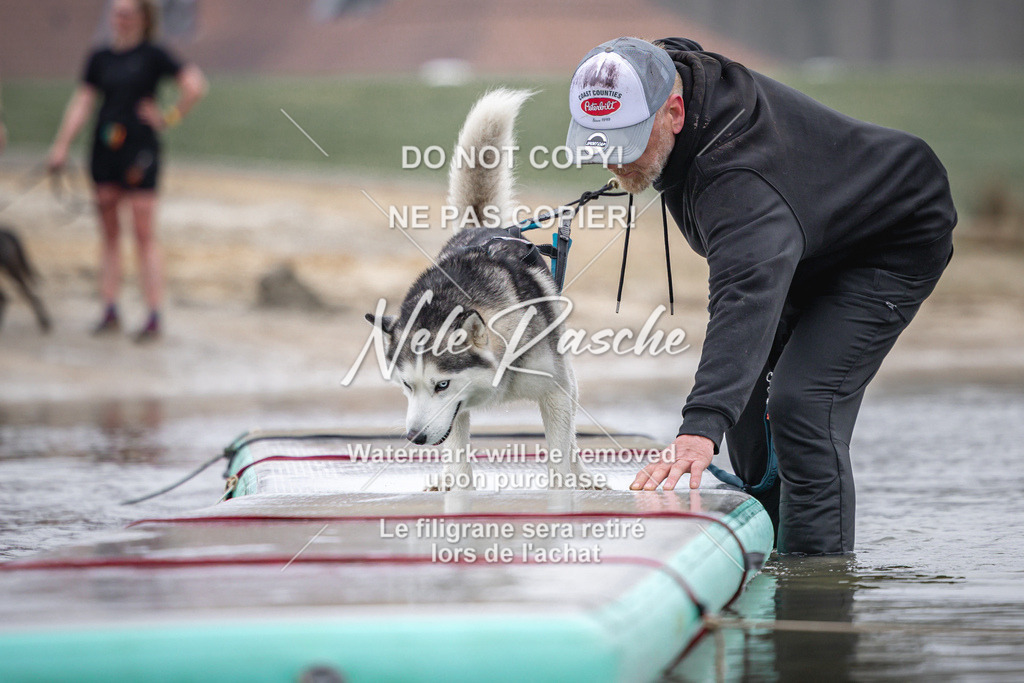 nelerasche_Hulsbeek_Sa0845-1030_226 | nelerasche