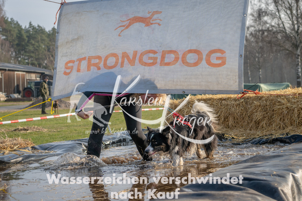 _ZZ91446 | kk-dogfotos