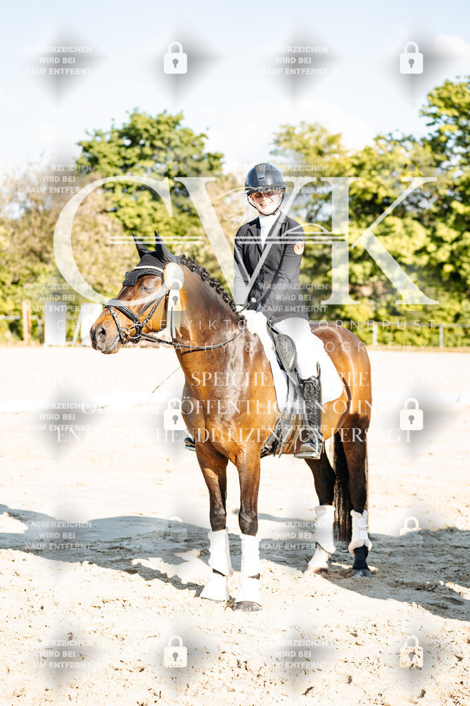 CK703578 | Turnierfotografie Pferdefotografie Trier Rheinland-Pfalz Pferdesport Reitsport Tierfotografie Sportfotografie Pferdevideo Pferdevideografie Equestrianvideography equestrianphotography  - Realisiert mit Pictrs.com