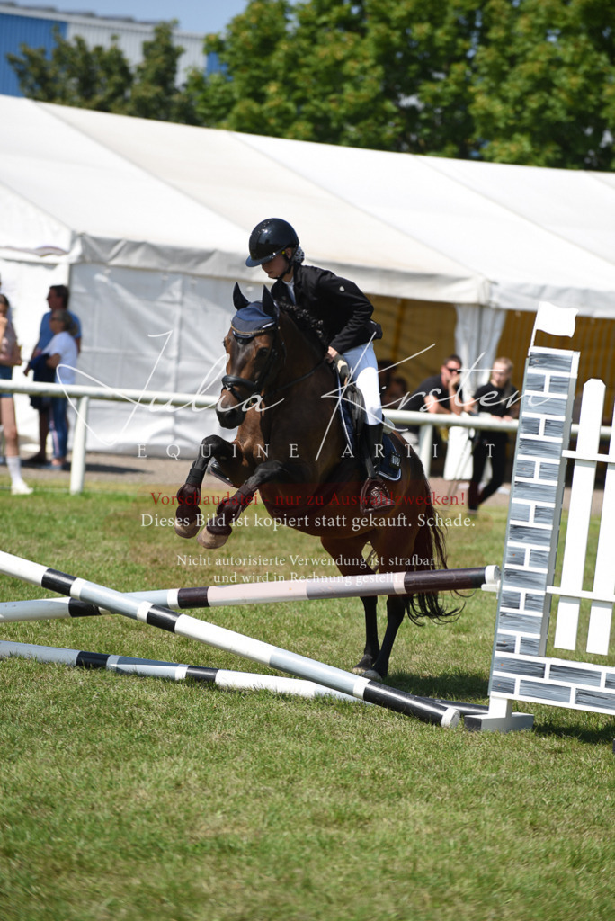 DSC_9924 | Pferde- und Turnierfotografie in Westsachsen. Pferdeportraits, Auftragszeichnungen und intuitive Kunst.