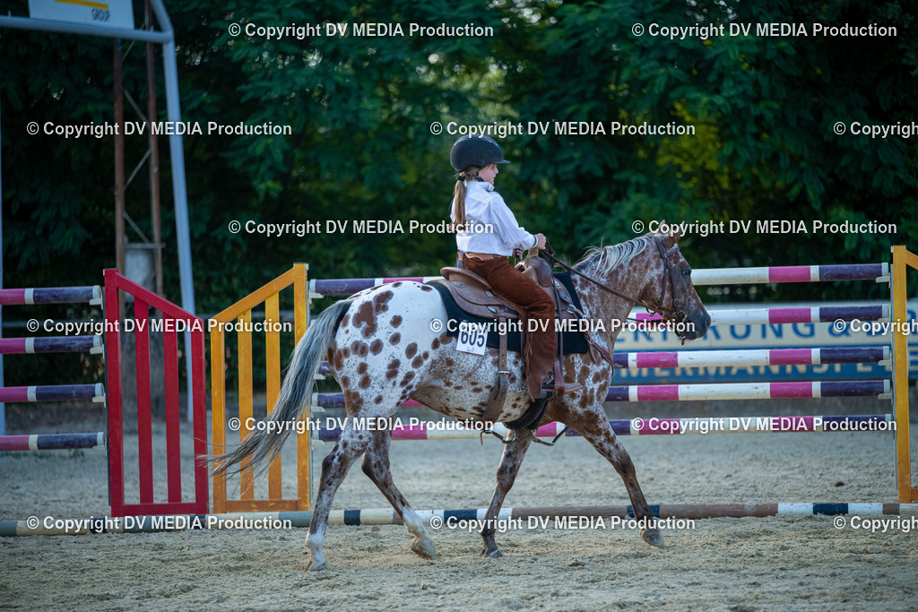 EWP_7248 | dv-media-shop - Realisiert mit Pictrs.com