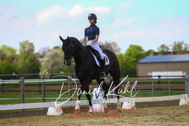 DKP43134 | Turniersportfotografie; Pferdefotografie; Dressurfotografie