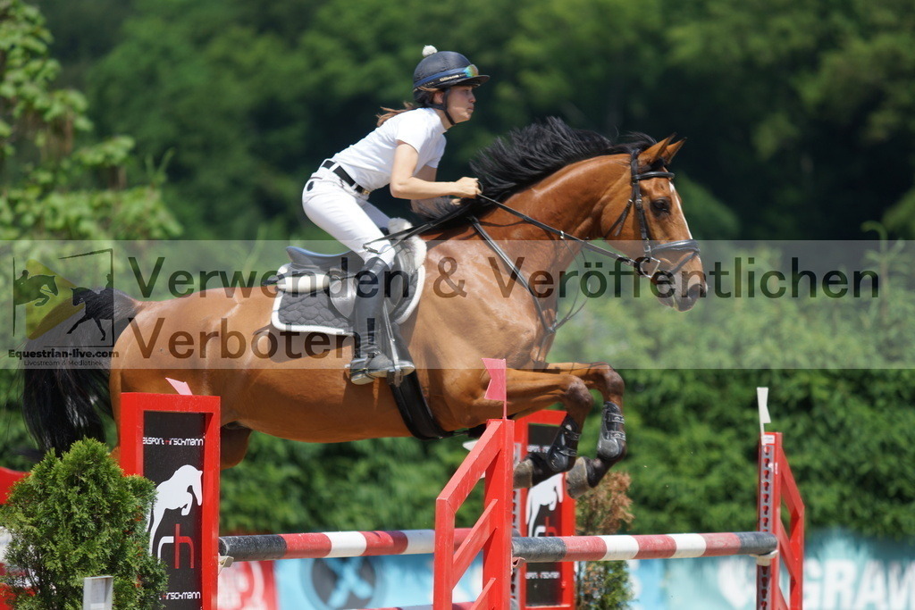 DSC00611 | equestrian-live-com