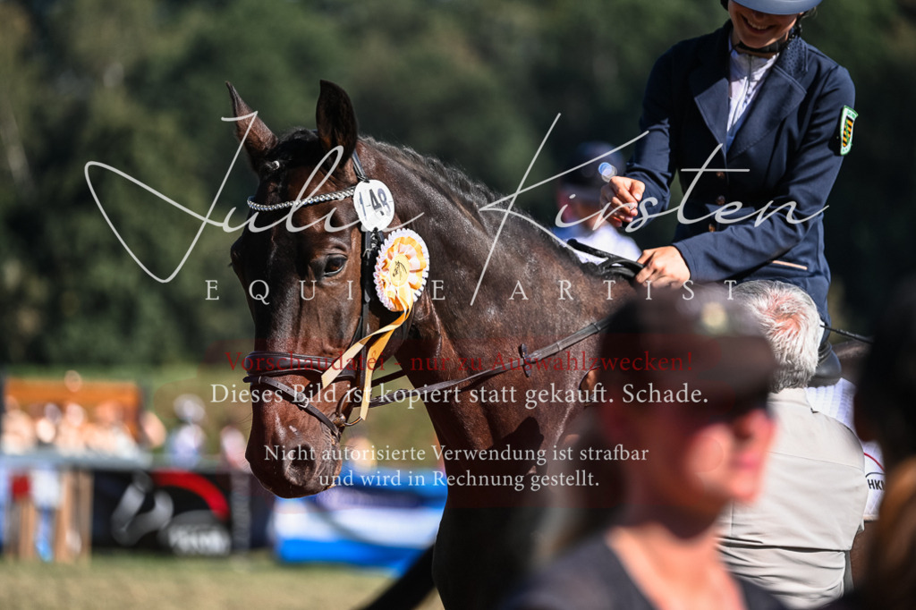 DSC_7114 | Pferde- und Turnierfotografie in Westsachsen. Pferdeportraits, Auftragszeichnungen und intuitive Kunst.