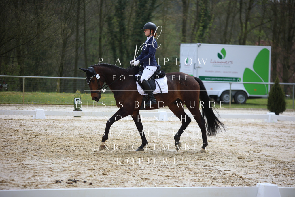 IMGT3002 | pl-fotografie