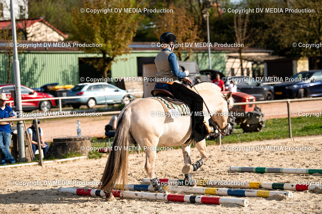 Heiligenwald Tag 1-1064 | dv-media-shop - Realisiert mit Pictrs.com