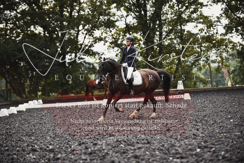 DSC_3944 | Pferde- und Turnierfotografie in Westsachsen. Pferdeportraits, Auftragszeichnungen und intuitive Kunst.