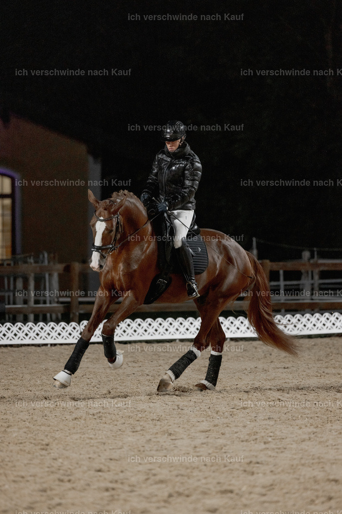 FHClassics-23 | working equitationturnier fotograf videograf stoibphotography marixx film working equitation deutschland reitsport turnierfotografie eventfotografie equestrian events