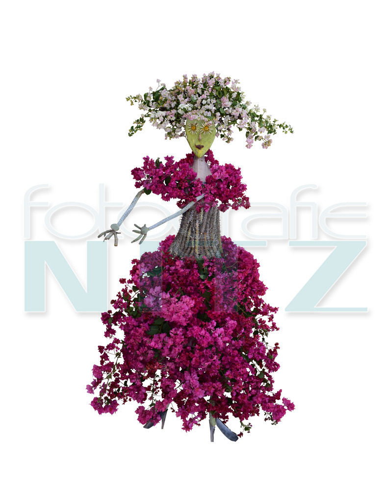 47 | Nitz Fotografie aus Montabaur bietet Ihnen hier die Möglichkeit Bilder auszusuchen und zu bestellen. 