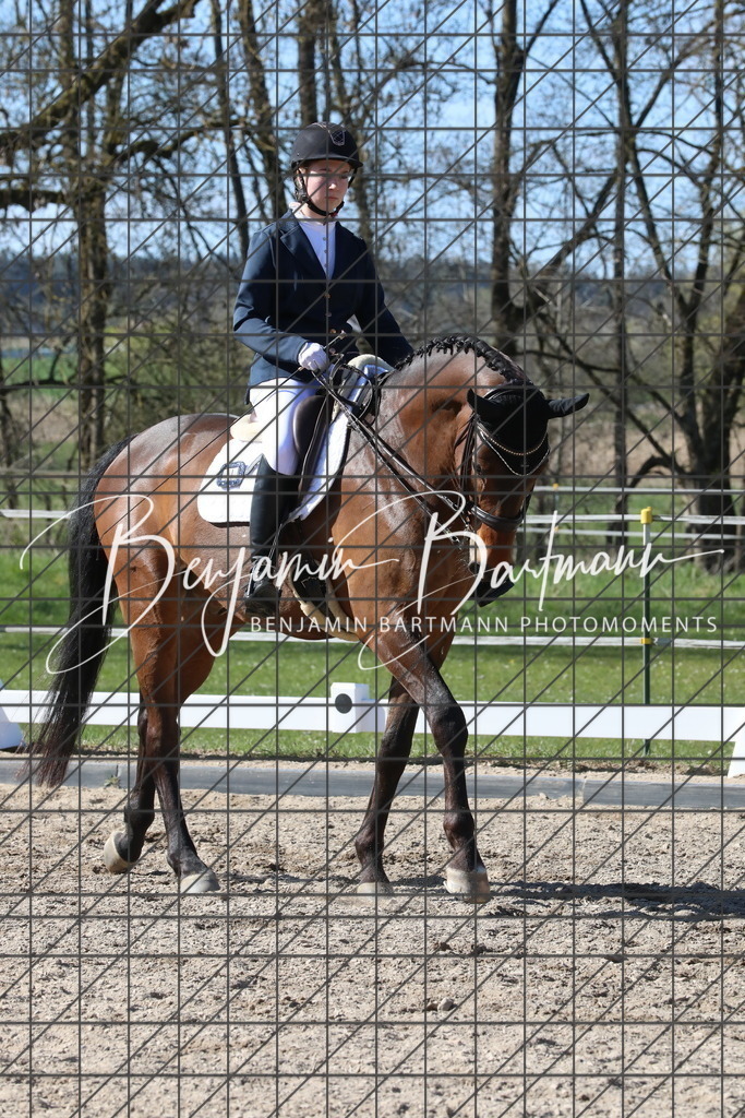 AZ2A4936 | Benjamin Bartmann Photomoments