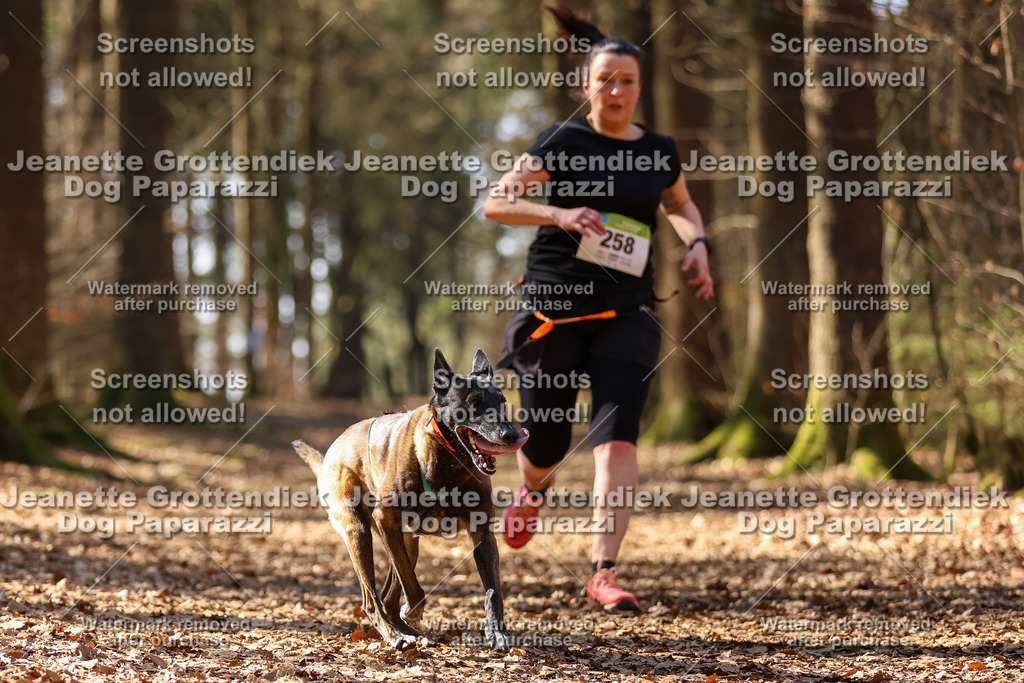 Dog Paparazzi - VCC26-1206 | Dog Paparazzi Jeanette Grottendiek Fotografie & Videografie - Realisiert mit Pictrs.com