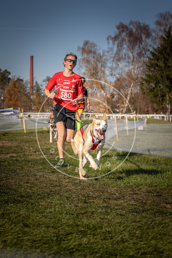CaniXpix_0L8A8158 | Hundefotografie, Tierfotograf, Pfotenfotografie, Fotoshooting Hund, Hunde Portrait, Hundesport, Hundeportraits, Heideshooting, Hunde, Sportfotograf, Hundefotograf, Turnierhundsport, THS,  - Realisiert mit Pictrs.com
