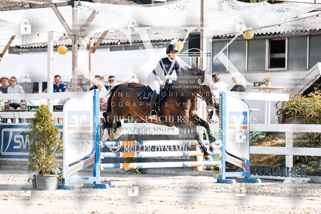 CK909211 | Turnierfotografie Pferdefotografie Trier Rheinland-Pfalz Pferdesport Reitsport Tierfotografie Sportfotografie Pferdevideo Pferdevideografie Equestrianvideography equestrianphotography  - Realisiert mit Pictrs.com