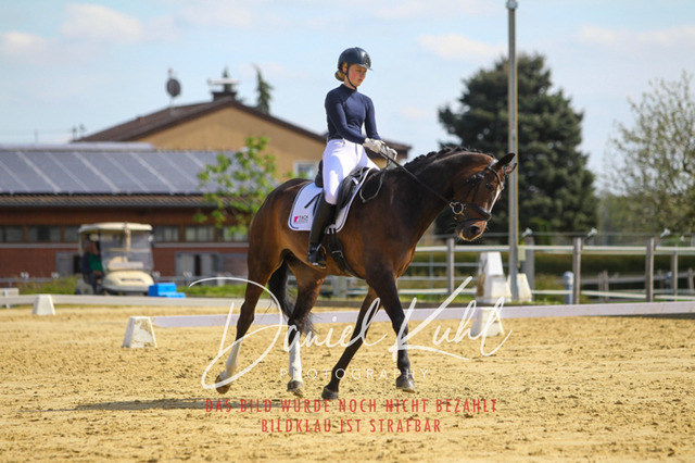 DKP43210 | Turniersportfotografie; Pferdefotografie; Dressurfotografie