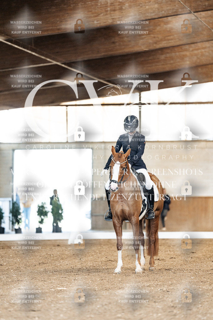 CK900740 | Turnierfotografie Pferdefotografie Trier Rheinland-Pfalz Pferdesport Reitsport Tierfotografie Sportfotografie Pferdevideo Pferdevideografie Equestrianvideography equestrianphotography  - Realisiert mit Pictrs.com