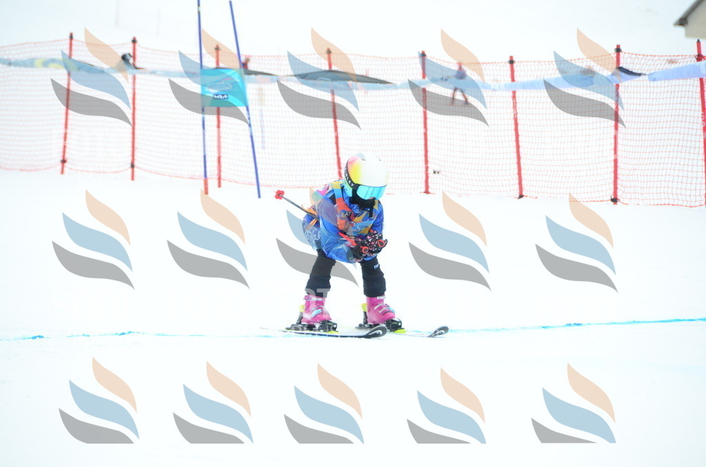 DSC_0822 | holidayphoto