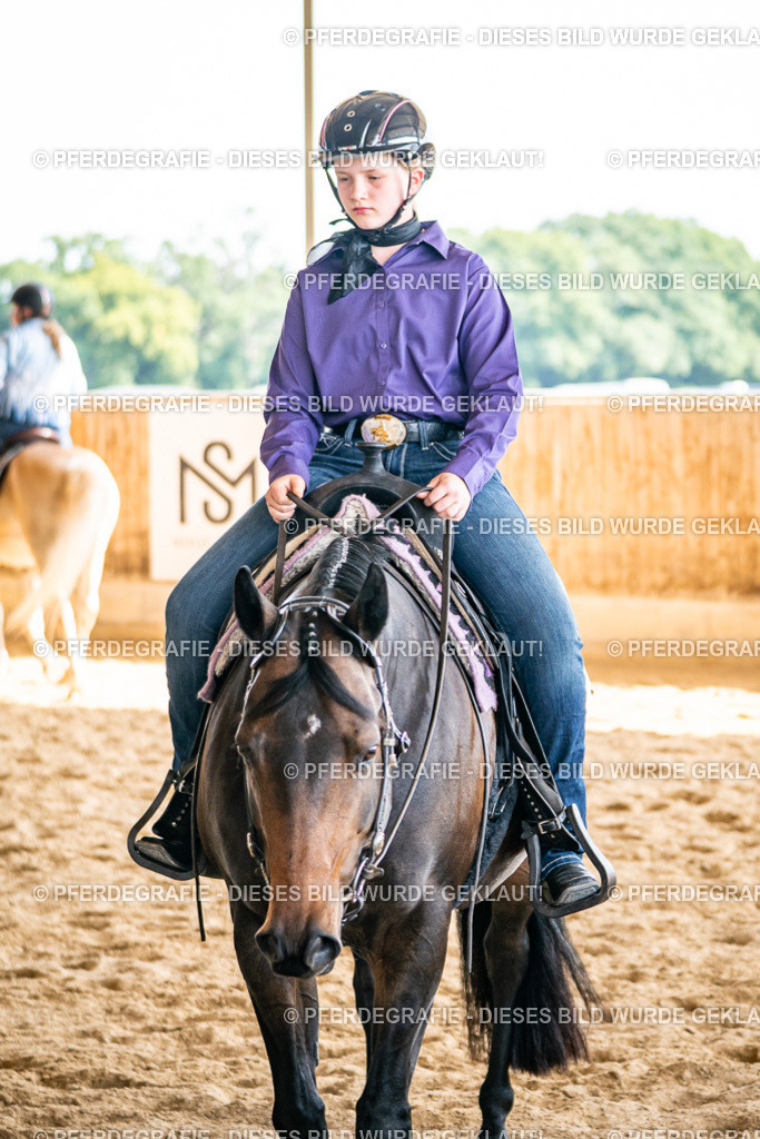 DSC09499 | Pferdegrafie