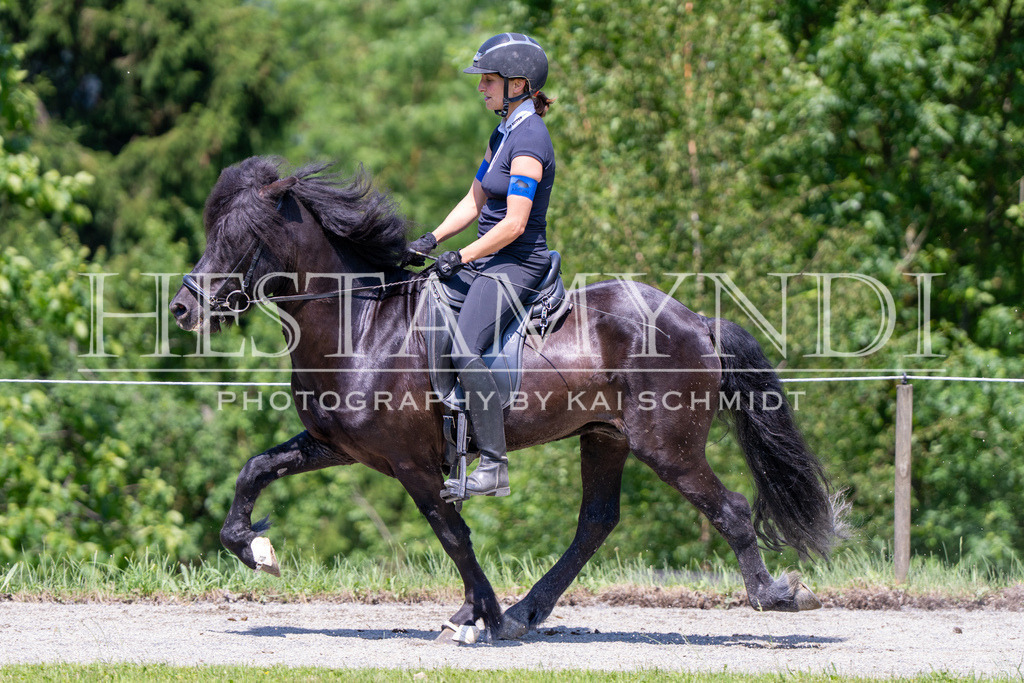 KAI04437 | Ihr sucht einen Fotografen für eure nächste OSI? Ich begleite auch euer Turnier für Islandpferde fotografisch.  - Realisiert mit Pictrs.com