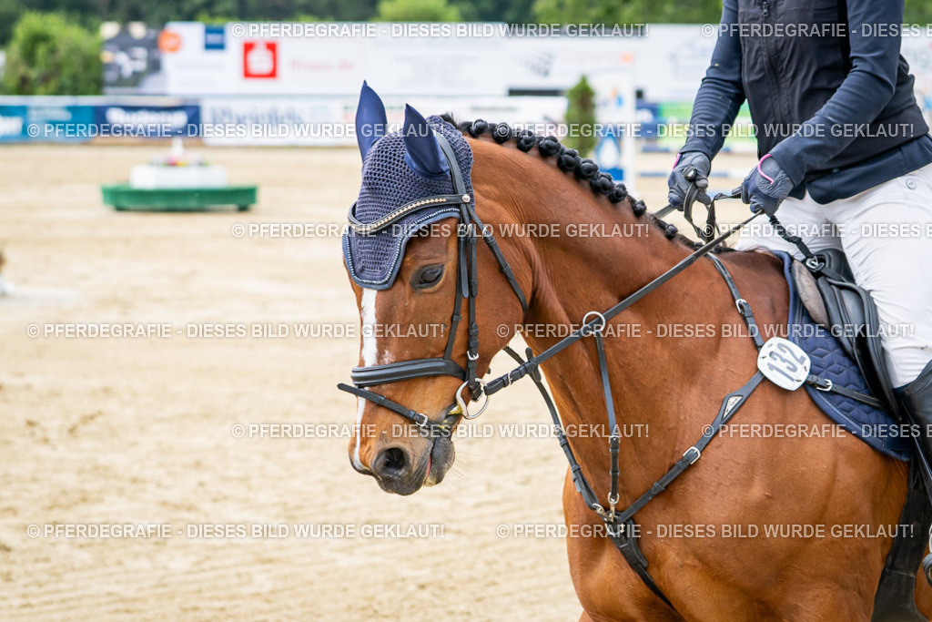 DSC04888 | Pferdegrafie