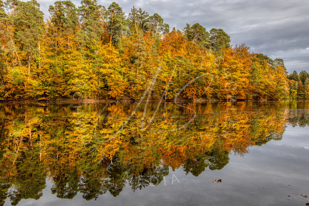 2020-10-21 Baerensee Herbst -53 | Herbstspiegelung an den Bärenseen bei Stuttgart 1 - Realisiert mit Pictrs.com