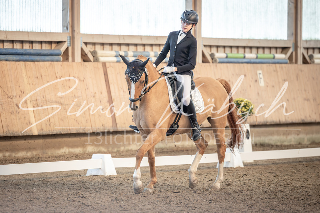 20251011-_3LI6687 | Tierfotografie Pferde, Hunde, Katzen, Haustiere.
Turnierfotografie Reitturniere, Reiten, Springreiten, Dressur in Hanau, dem Main-Kinzig-Kreis und dem Rhein-Main- Gebiet um Frankfurt
