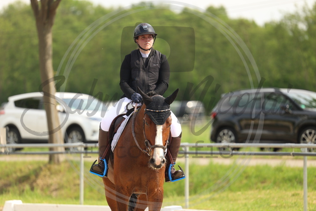 994A7813 | sabrinanicolaifotografie - Realisiert mit Pictrs.com