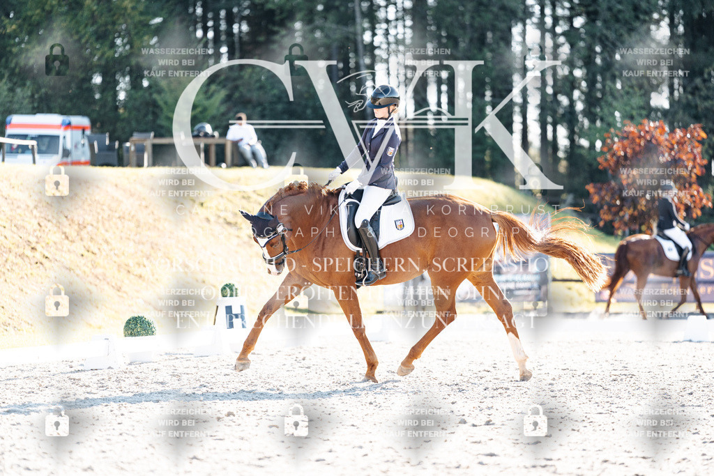 CK906854 | Turnierfotografie Pferdefotografie Trier Rheinland-Pfalz Pferdesport Reitsport Tierfotografie Sportfotografie Pferdevideo Pferdevideografie Equestrianvideography equestrianphotography  - Realisiert mit Pictrs.com