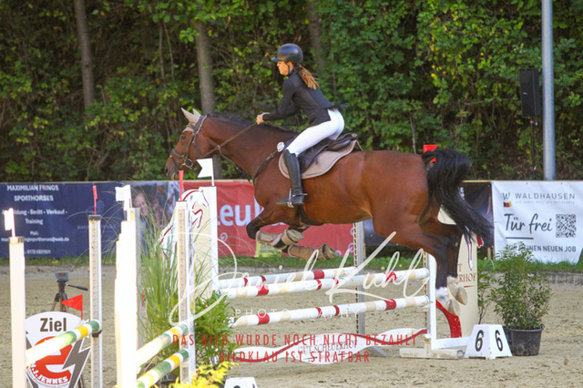 DKP42875 | Deine Turnierfotos vom Reitturnier online kaufen: Dressur, Springen & Siegerehrung. Professionelle Pferdefotografie aus dem Rheinland – als Download & Print.Alternative: Turnierfotograf für den Pferdesport: Finde deine Fotos von Dressur- und Springturnier