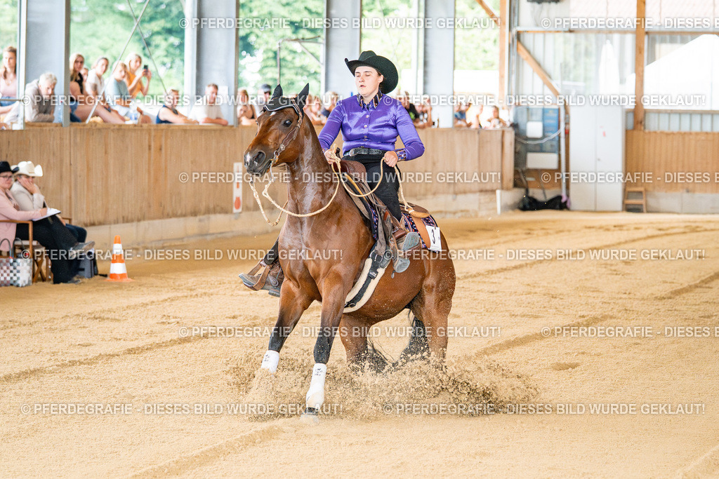 DSC07799 | Pferdegrafie