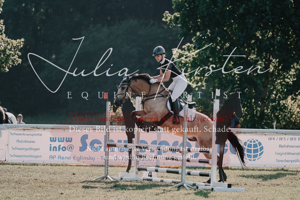 DSC_4842 | Pferde- und Turnierfotografie in Westsachsen. Pferdeportraits, Auftragszeichnungen und intuitive Kunst.