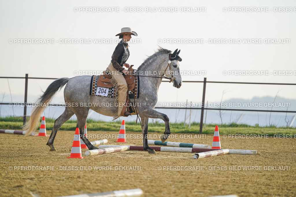 DSC09628 | Pferdegrafie