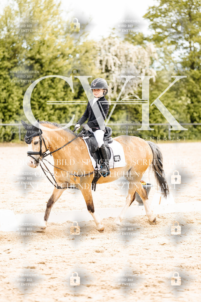 CK904693 | Turnierfotografie Pferdefotografie Trier Rheinland-Pfalz Pferdesport Reitsport Tierfotografie Sportfotografie Pferdevideo Pferdevideografie Equestrianvideography equestrianphotography  - Realisiert mit Pictrs.com