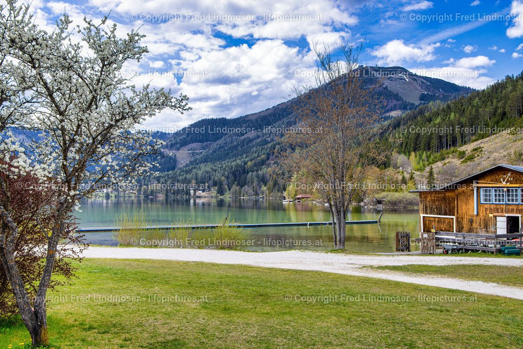 Erlaufsee 280402020- | Fotos und Fotoprodukte - Realisiert mit Pictrs.com