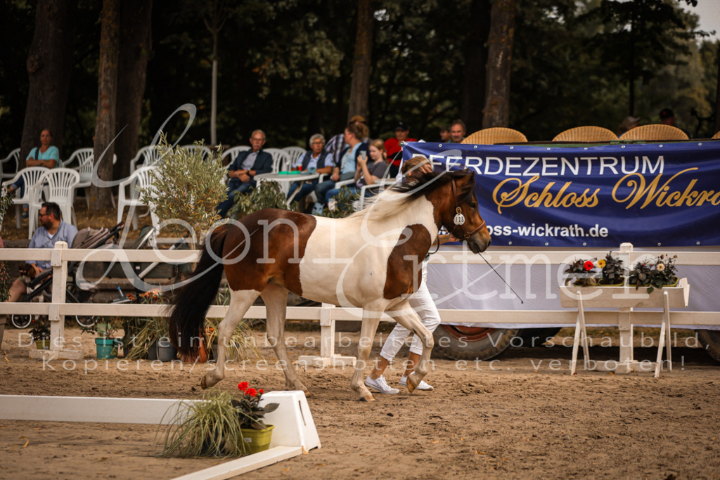 03.So00061 | Leoni Ertmer Photography - Realisiert mit Pictrs.com