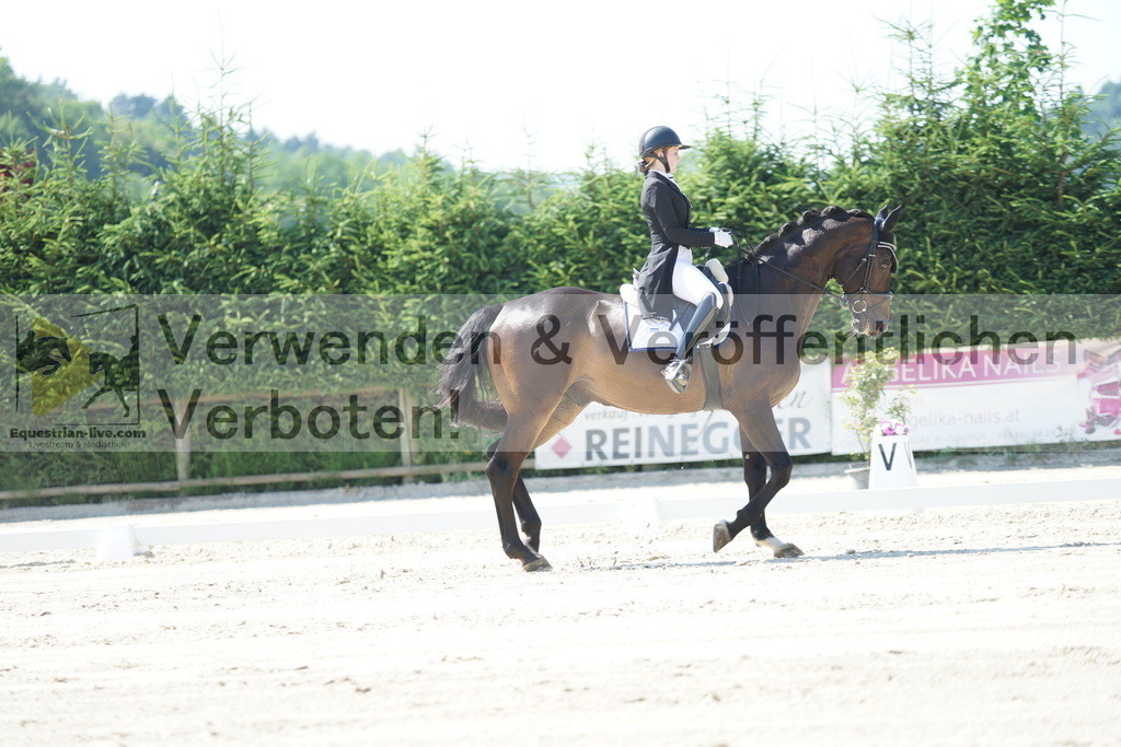 DSC02341 | equestrian-live-com