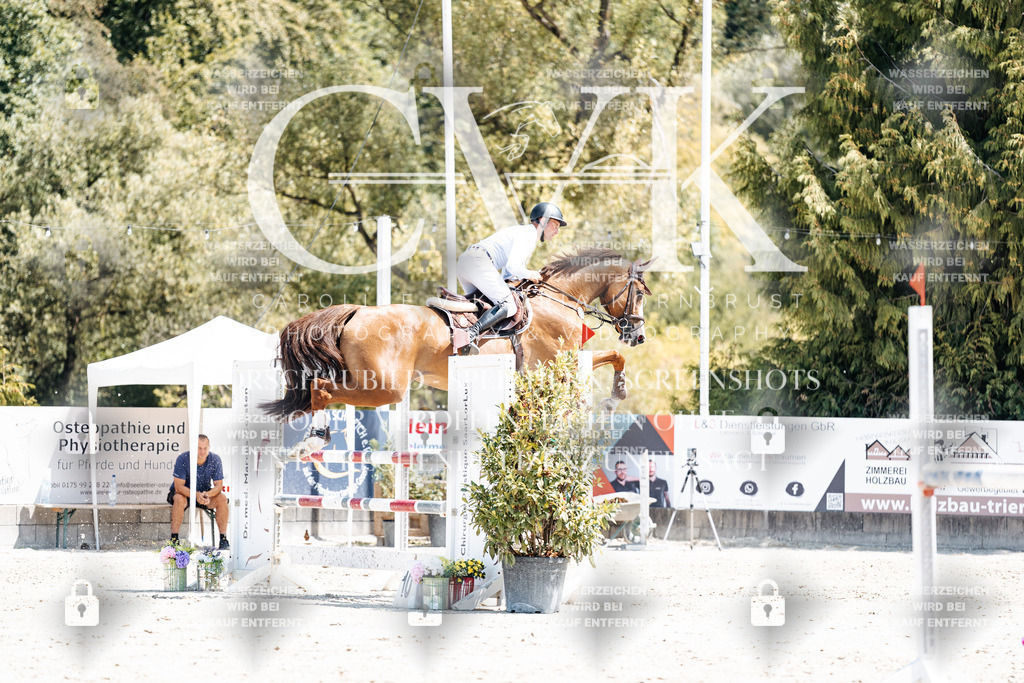 CK900216 | Turnierfotografie Pferdefotografie Trier Rheinland-Pfalz Pferdesport Reitsport Tierfotografie Sportfotografie Pferdevideo Pferdevideografie Equestrianvideography equestrianphotography  - Realisiert mit Pictrs.com