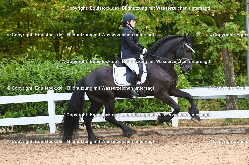 20230716_04_Dressurreiterprüfung Kl.A_0364 | equistock