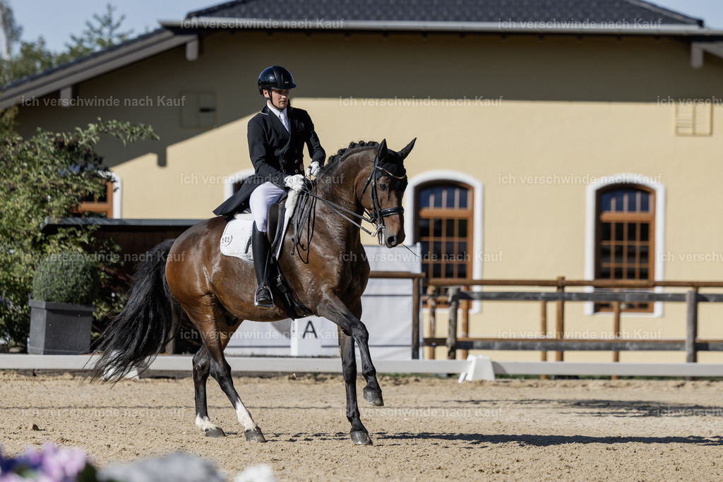 FHC2026_P09_242_18607 | Fichtenhof Classics 2026 – Grand Prix de Dressage - VOLTAIRE Design Preis, Reitanlage Fichtenhof, Sch ftlarn
