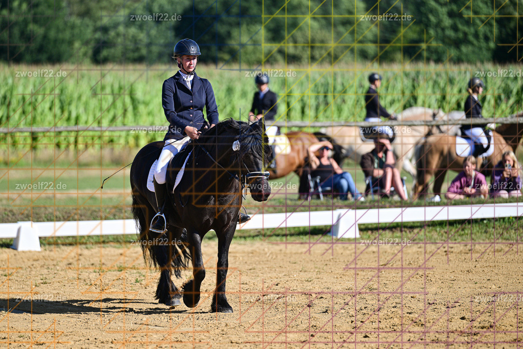 30 Jahre RFV Pulsnitz e.V., Pulsnitz am 09.08.2026 | Zur 28. breitensportlichen Veranstaltung des RFV Pulsnitz e.V. fanden verschiedene Wettbewerbe in nahezu allen Disziplinen des Pferdesport statt. - 04. Großer Dressur-Wettbewerb - Realisiert mit Pictrs.com