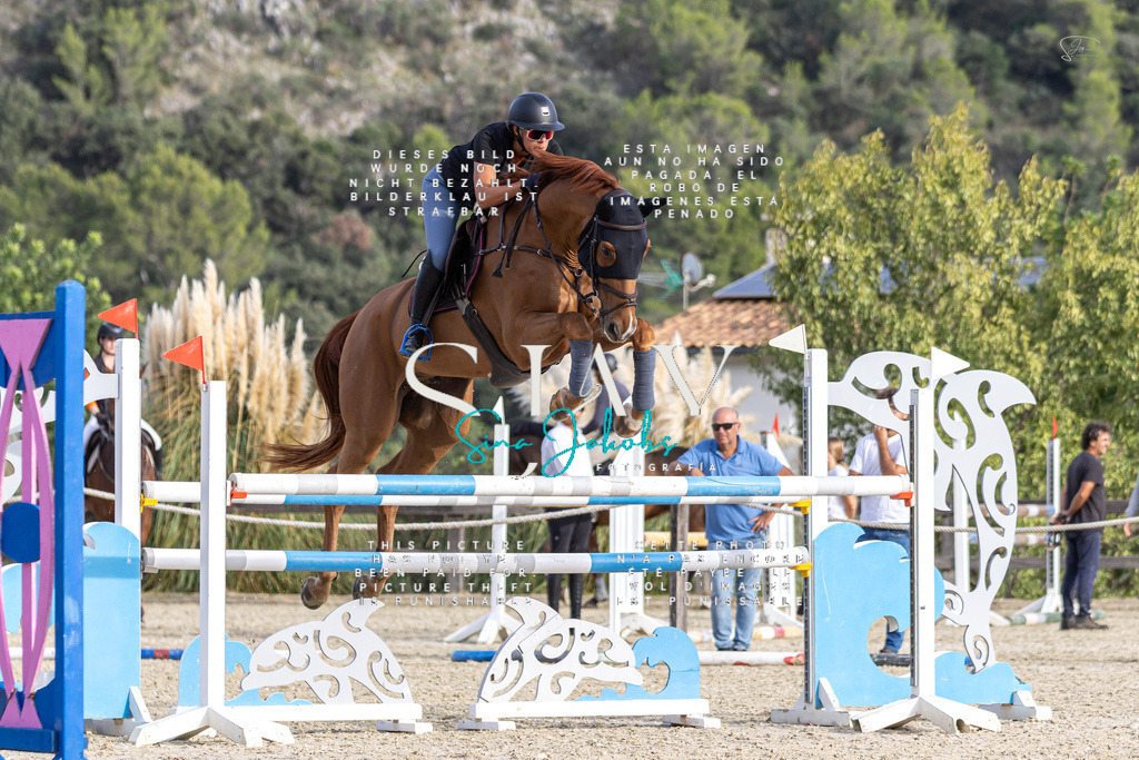 IMG_4472 | s-jay-photography - Realisiert mit Pictrs.com