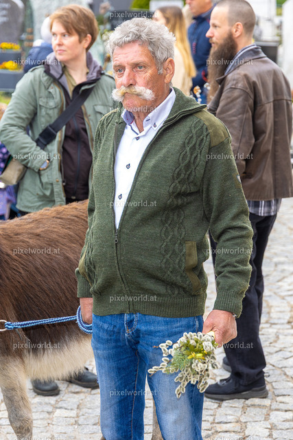 Palmweihe in Feldkirchen | Bildershop von pixelworld.at - Realisiert mit Pictrs.com