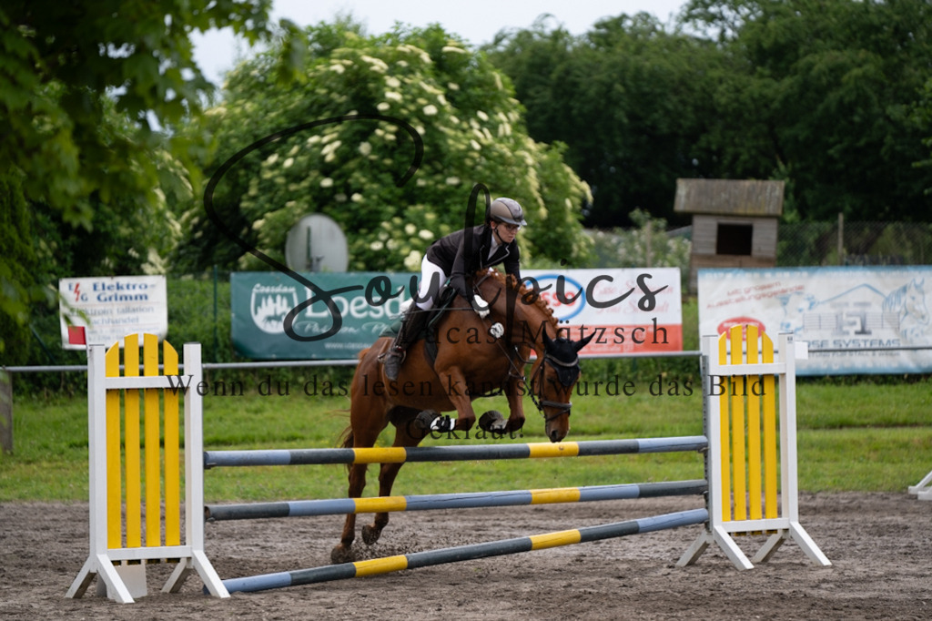 A7V04093 | Pferdefotograf