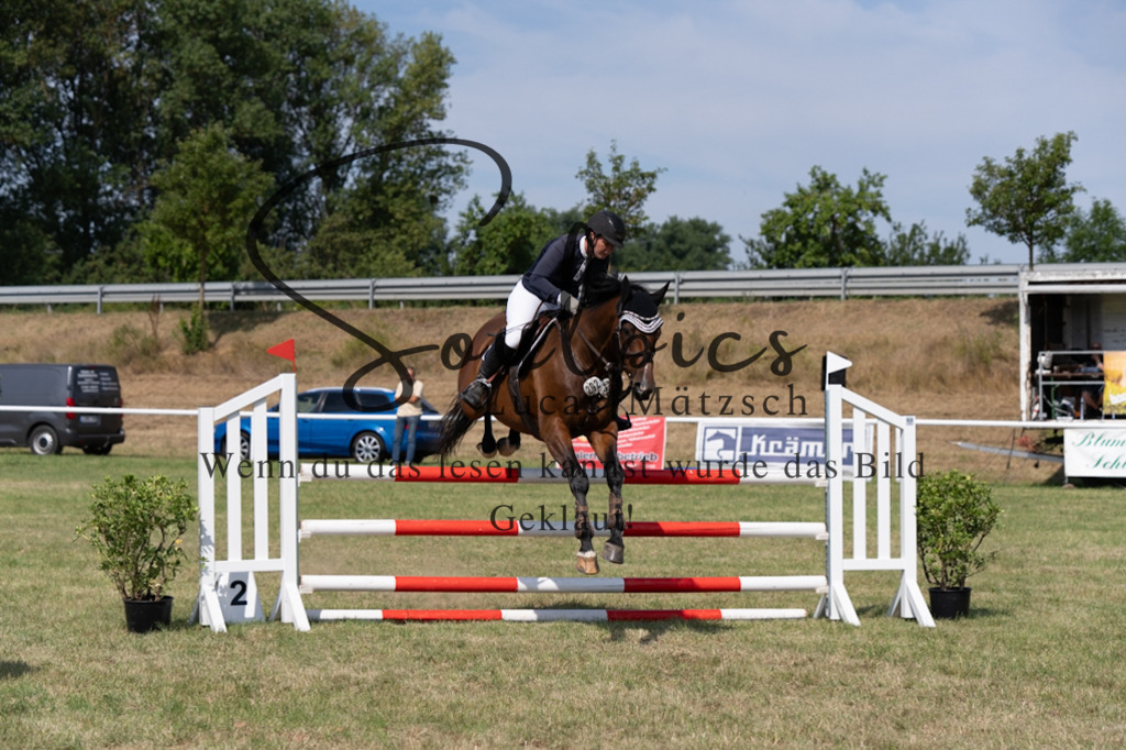 A7V01585 | Turnier/Reitfotograf