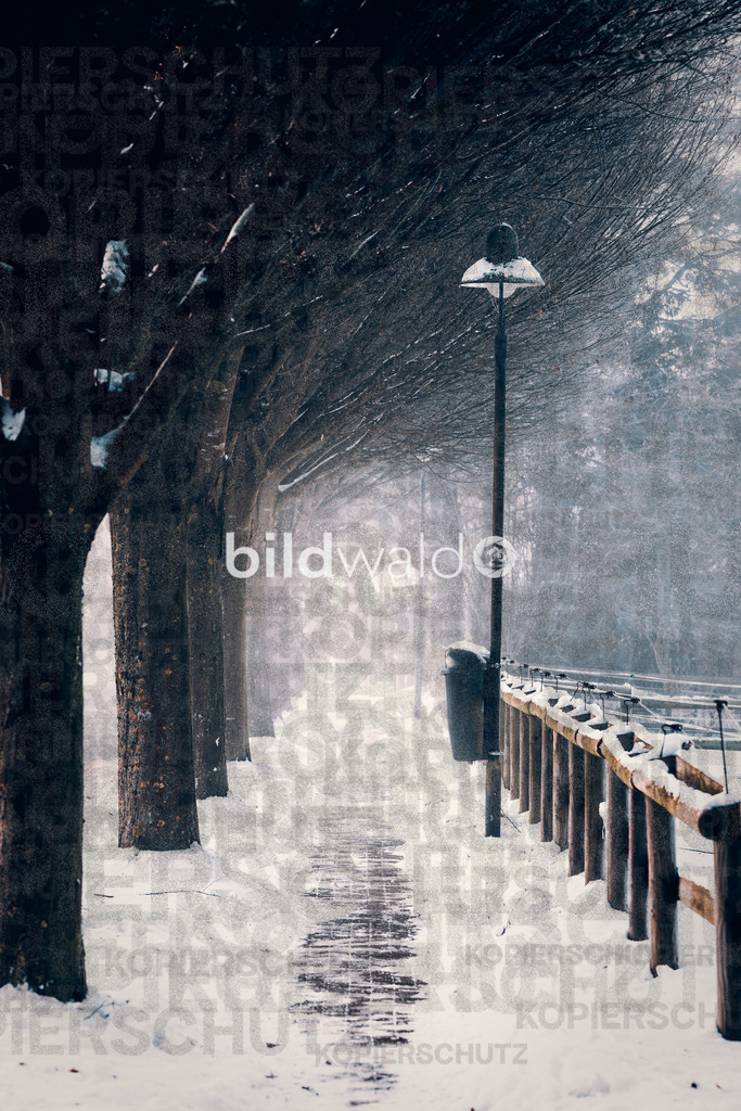 _DSC5303 | BILDWALD - eine Auswahl an Bildern von Thomas Perrotton zum bestellen und genießen. Alle Bilder von Thomas Perrotton - Alle Bilder mit einer SONY Kamera gemacht - SONY TAMRON SIGMA PHOTOSHOP LIGHTROOM BILDWALD Online kaufen Bilderwald Wandbilder - Realisiert mit Pictrs.com