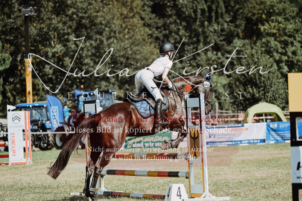 DSC_9659 | Pferde- und Turnierfotografie in Westsachsen. Pferdeportraits, Auftragszeichnungen und intuitive Kunst.