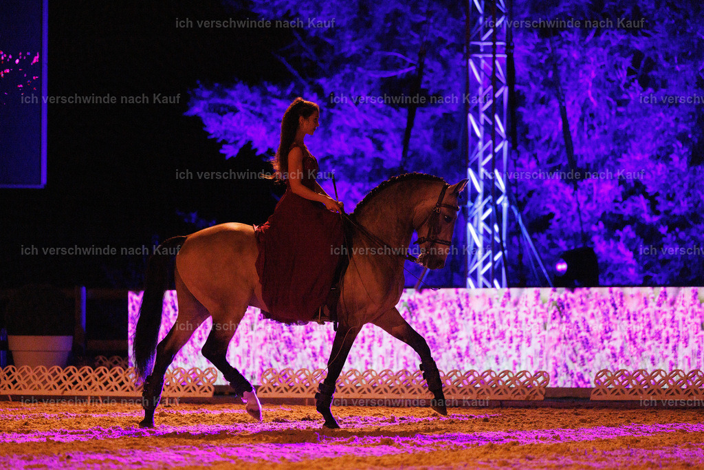 FHClassics-320 | working equitationturnier fotograf videograf stoibphotography marixx film working equitation deutschland reitsport turnierfotografie eventfotografie equestrian events